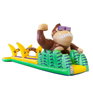 Buikschuifbaan Coco Loco Buikschuifbaan Coco Loco